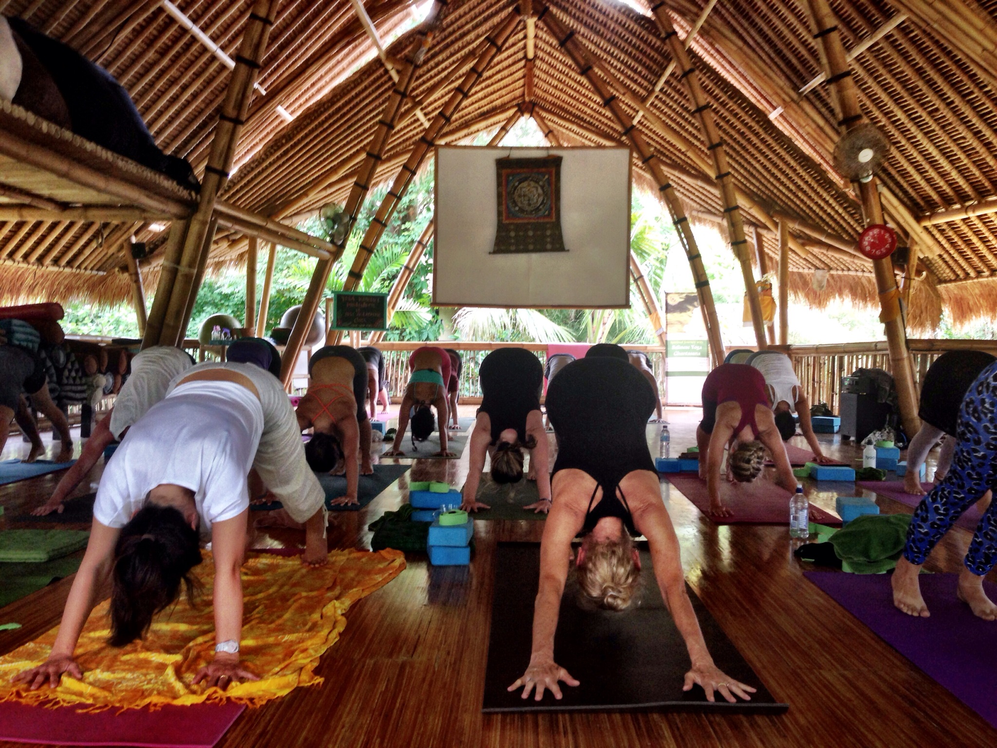 The Power of Now Oasis Yoga Experience 1
