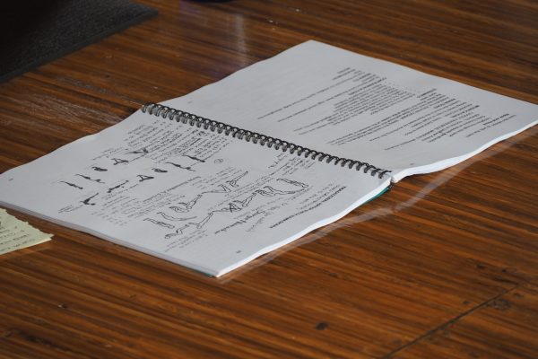 Why Study Yoga Teacher Training at Power of Now Oasis 2