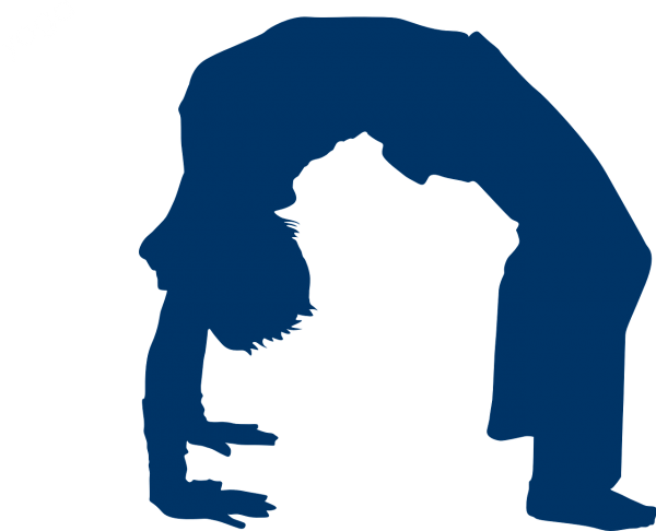 How to Sequence a Peak Pose 1