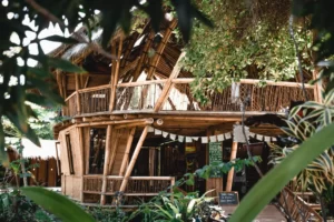 Power of Now Oasis: Yoga by the Sea, Under the Sun, On the Sands… 2